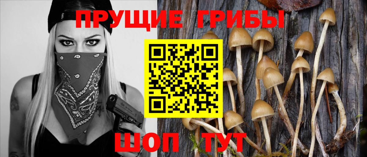 наркота  Псилоцибиновые грибы Psilocybine cubensis  Вход с VPN  Сызрань  Галлюциногенные грибы Cubensis 